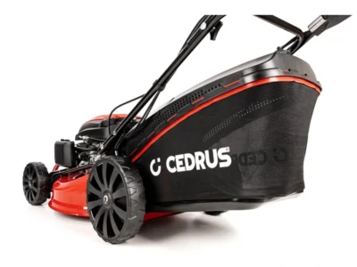 Cedrus KS53SV-E – Bild 13