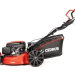 Cedrus KS53SV-E