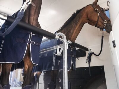 Humbaur Maximus 2700 - Pferdeanhänger - 2700 kg – Bild 8